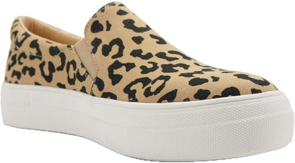 HIKE-G Bob Cat Soda-0