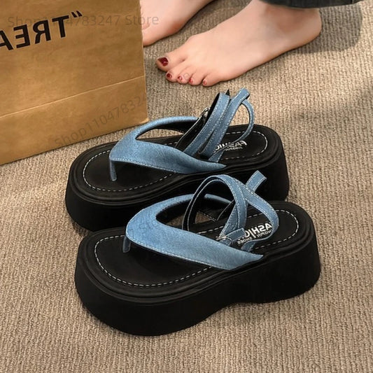 Women Heeled Sandals High Heels Clip Toe Shoes Platform Buckle Flip Flops 2025 Summer Fashion Pumps Slingback Sandalias De Mujer